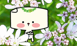 媚喜名片設計印刷網